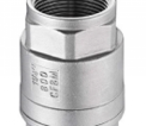 Van 1 chiều Lò Xo